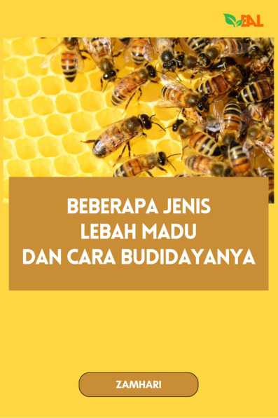 Sampul buku Beberapa Jenis Lebah...